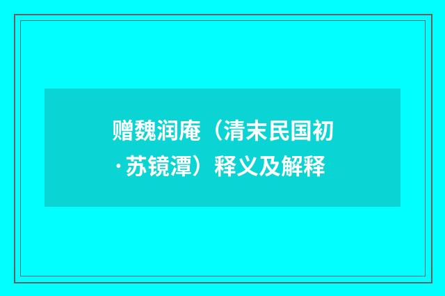 赠魏润庵（清末民国初·苏镜潭）释义及解释