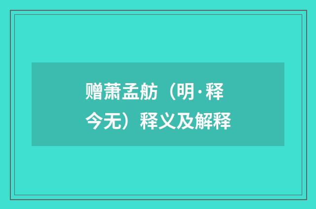 赠萧孟舫（明·释今无）释义及解释