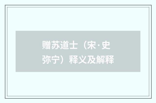 赠苏道士（宋·史弥宁）释义及解释