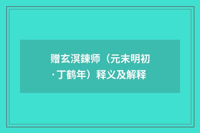 赠玄溟鍊师（元末明初·丁鹤年）释义及解释