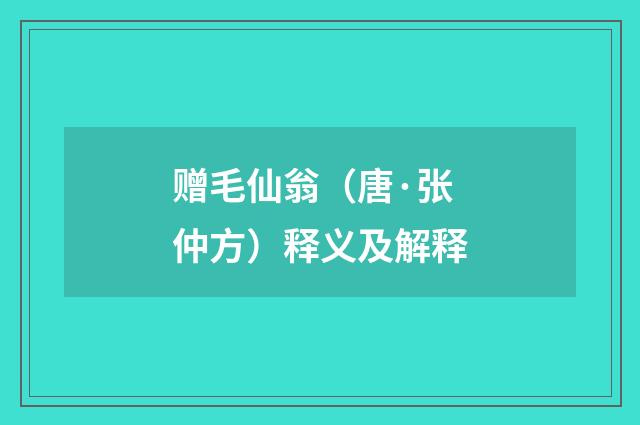 赠毛仙翁（唐·张仲方）释义及解释