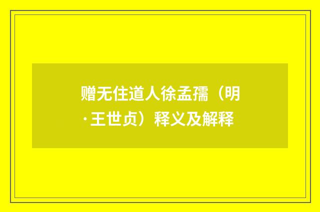 赠无住道人徐孟孺（明·王世贞）释义及解释