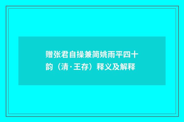 赠张君自操兼简姚雨平四十韵（清·王存）释义及解释