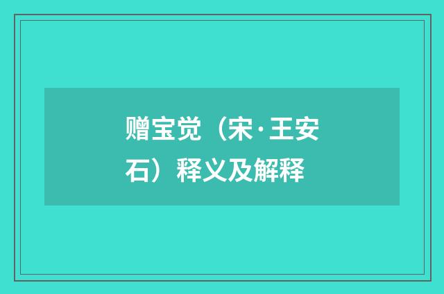 赠宝觉（宋·王安石）释义及解释