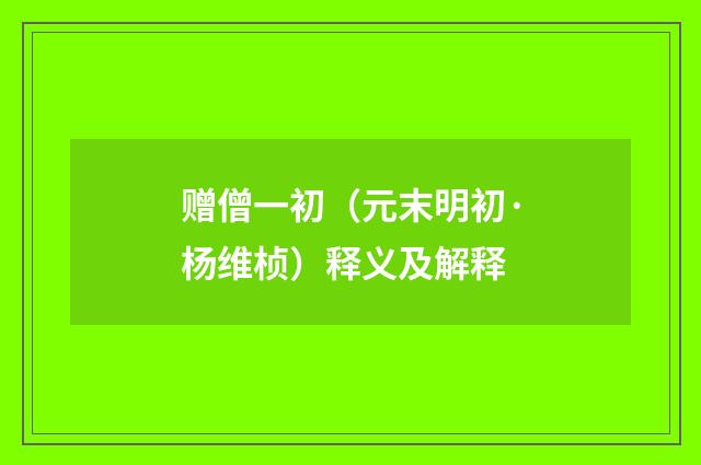 赠僧一初（元末明初·杨维桢）释义及解释