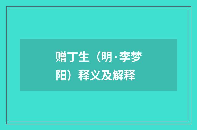 赠丁生（明·李梦阳）释义及解释