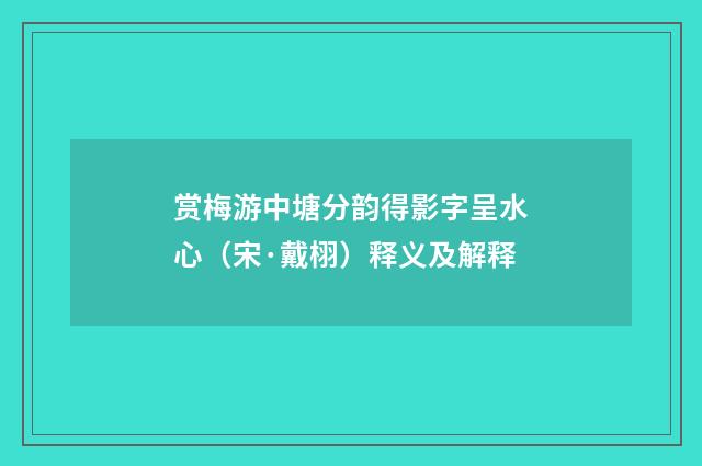 赏梅游中塘分韵得影字呈水心（宋·戴栩）释义及解释