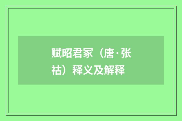 赋昭君冢（唐·张祜）释义及解释