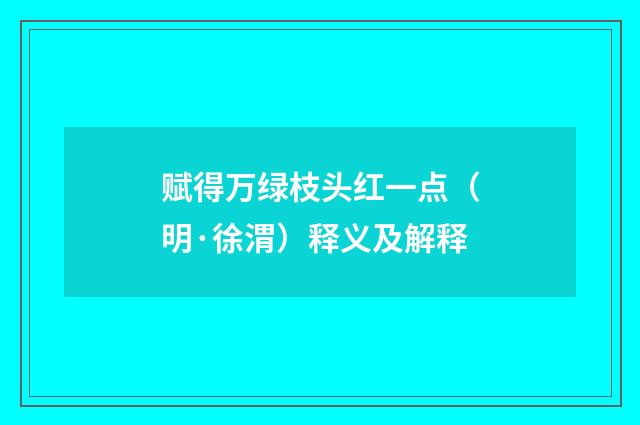 赋得万绿枝头红一点（明·徐渭）释义及解释