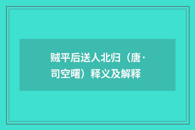 贼平后送人北归（唐·司空曙）释义及解释