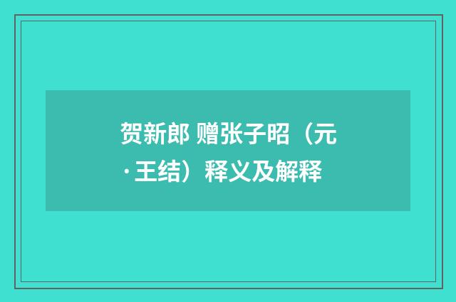贺新郎 赠张子昭（元·王结）释义及解释