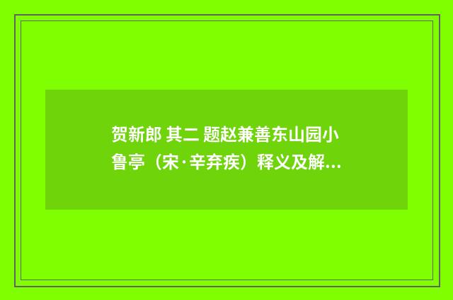 贺新郎 其二 题赵兼善东山园小鲁亭（宋·辛弃疾）释义及解释
