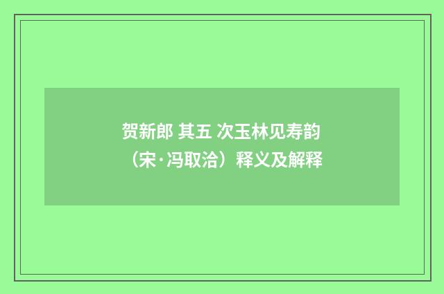 贺新郎 其五 次玉林见寿韵（宋·冯取洽）释义及解释