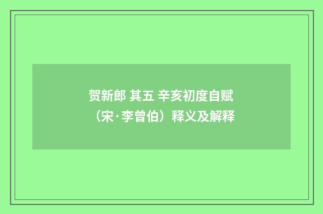 贺新郎 其五 辛亥初度自赋（宋·李曾伯）释义及解释