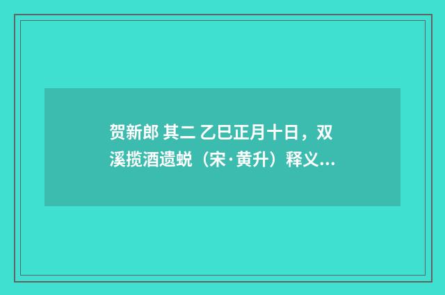 贺新郎 其二 乙巳正月十日，双溪揽酒遗蜕（宋·黄升）释义及解释