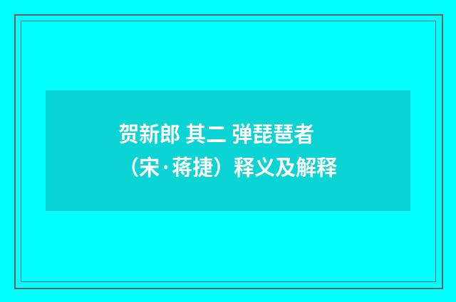 贺新郎 其二 弹琵琶者（宋·蒋捷）释义及解释