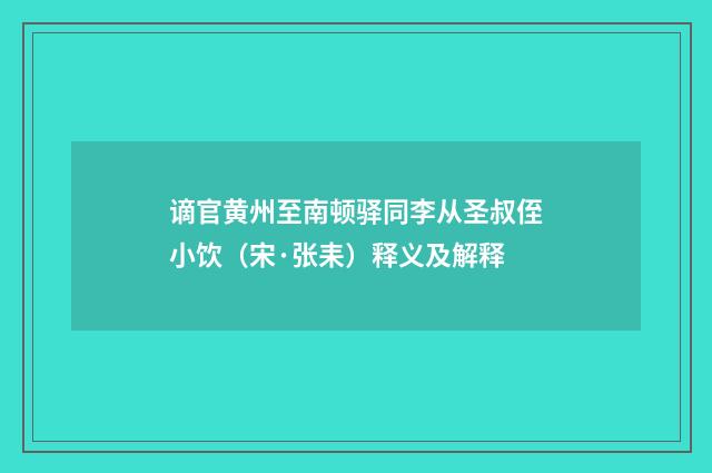 谪官黄州至南顿驿同李从圣叔侄小饮（宋·张耒）释义及解释