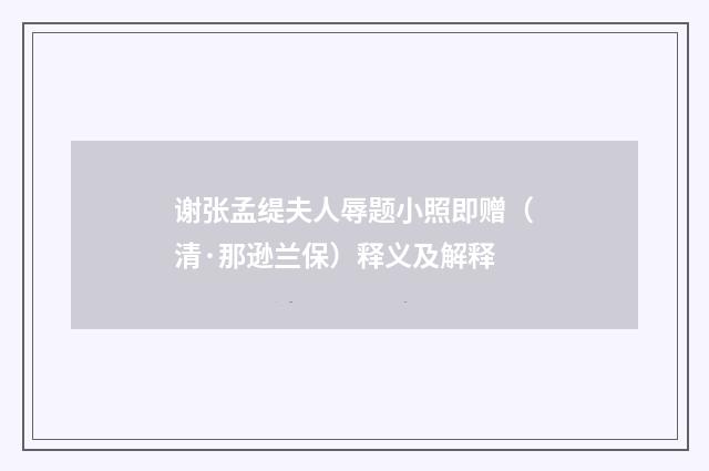 谢张孟缇夫人辱题小照即赠（清·那逊兰保）释义及解释