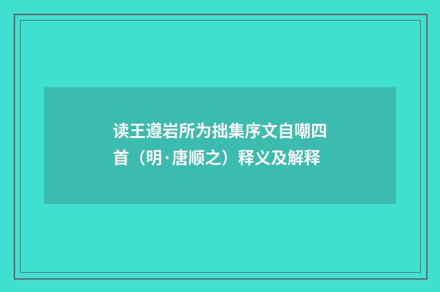 读王遵岩所为拙集序文自嘲四首（明·唐顺之）释义及解释