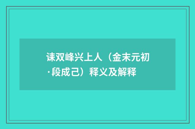 诔双峰兴上人（金末元初·段成己）释义及解释
