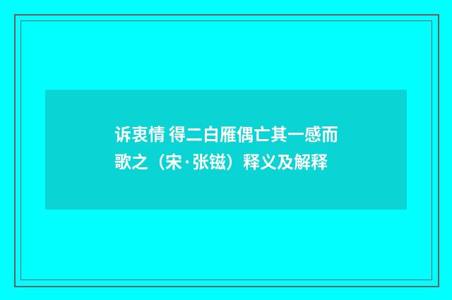 诉衷情 得二白雁偶亡其一感而歌之（宋·张镃）释义及解释