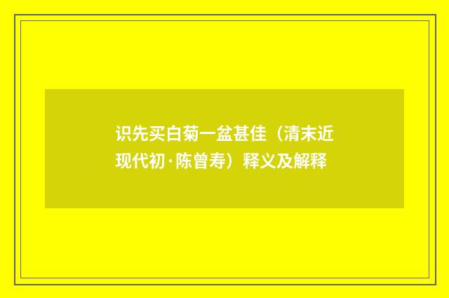 识先买白菊一盆甚佳（清末近现代初·陈曾寿）释义及解释