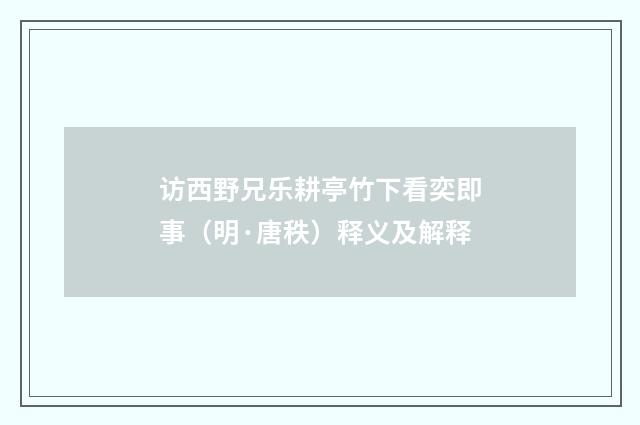 访西野兄乐耕亭竹下看奕即事（明·唐秩）释义及解释