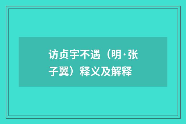 访贞宇不遇（明·张子翼）释义及解释