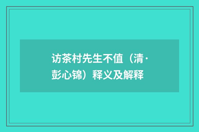 访茶村先生不值（清·彭心锦）释义及解释