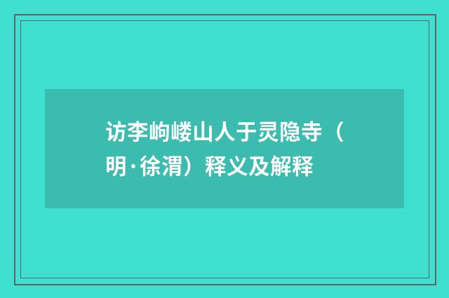 访李岣嵝山人于灵隐寺（明·徐渭）释义及解释