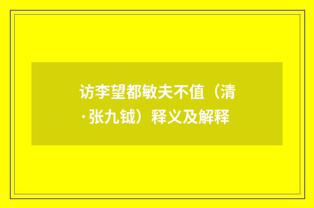 访李望都敏夫不值（清·张九钺）释义及解释