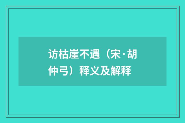 访枯崖不遇（宋·胡仲弓）释义及解释