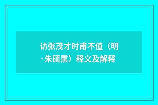 访张茂才时甫不值（明·朱硕熏）释义及解释