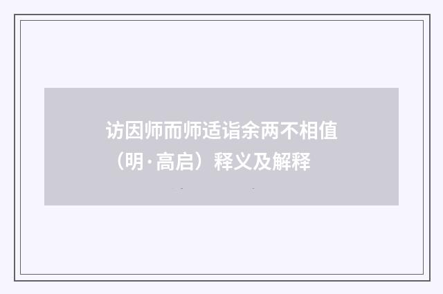 访因师而师适诣余两不相值（明·高启）释义及解释