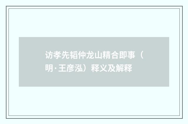 访孝先韬仲龙山精合即事（明·王彦泓）释义及解释