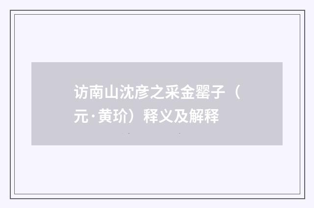 访南山沈彦之采金罂子（元·黄玠）释义及解释