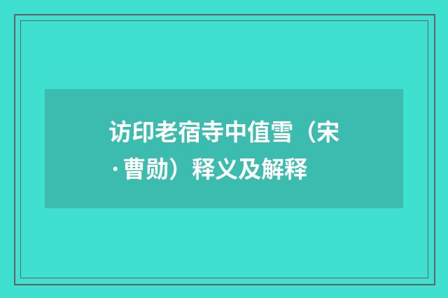 访印老宿寺中值雪（宋·曹勋）释义及解释