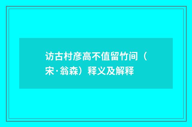 访古村彦高不值留竹间（宋·翁森）释义及解释
