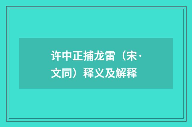 许中正捕龙雷（宋·文同）释义及解释