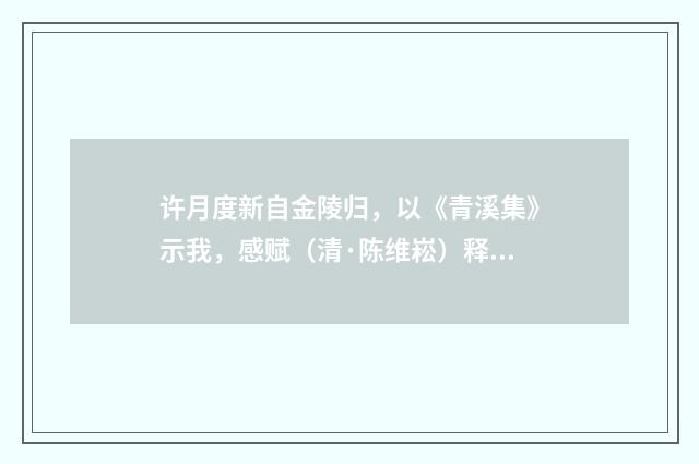 许月度新自金陵归，以《青溪集》示我，感赋（清·陈维崧）释义及解释