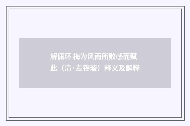 解佩环 梅为风雨所败感而赋此（清·左锡璇）释义及解释