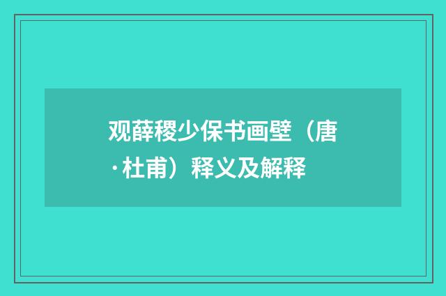 观薛稷少保书画壁（唐·杜甫）释义及解释