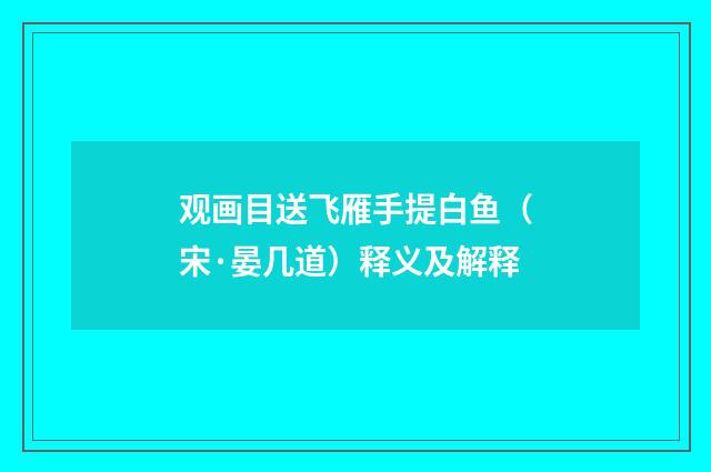 观画目送飞雁手提白鱼（宋·晏几道）释义及解释