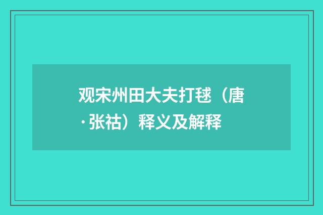 观宋州田大夫打毬（唐·张祜）释义及解释