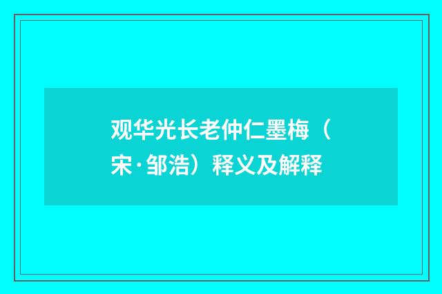 观华光长老仲仁墨梅（宋·邹浩）释义及解释