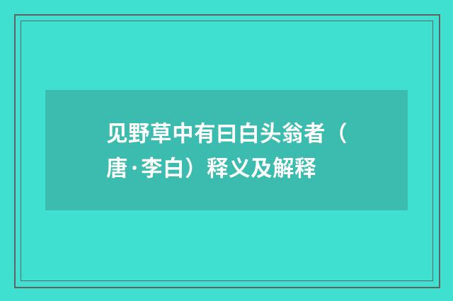 见野草中有曰白头翁者（唐·李白）释义及解释