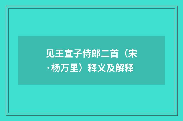 见王宣子侍郎二首（宋·杨万里）释义及解释