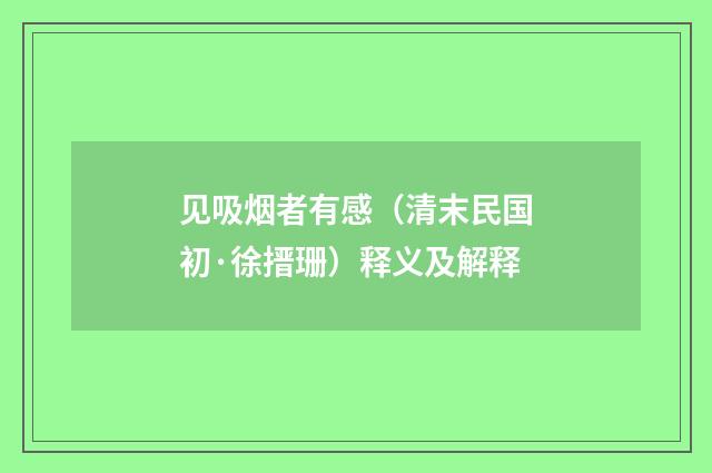 见吸烟者有感（清末民国初·徐搢珊）释义及解释