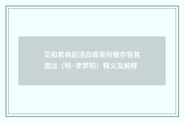 见和君病起须白辄有所赠亦咎其酒过（明·李梦阳）释义及解释