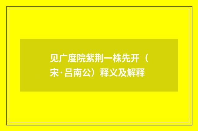 见广度院紫荆一株先开（宋·吕南公）释义及解释